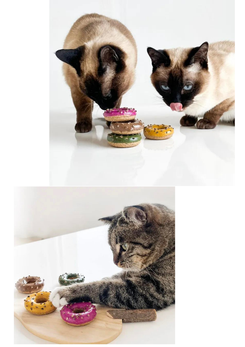 Beignet Silvervine: Chat à chat