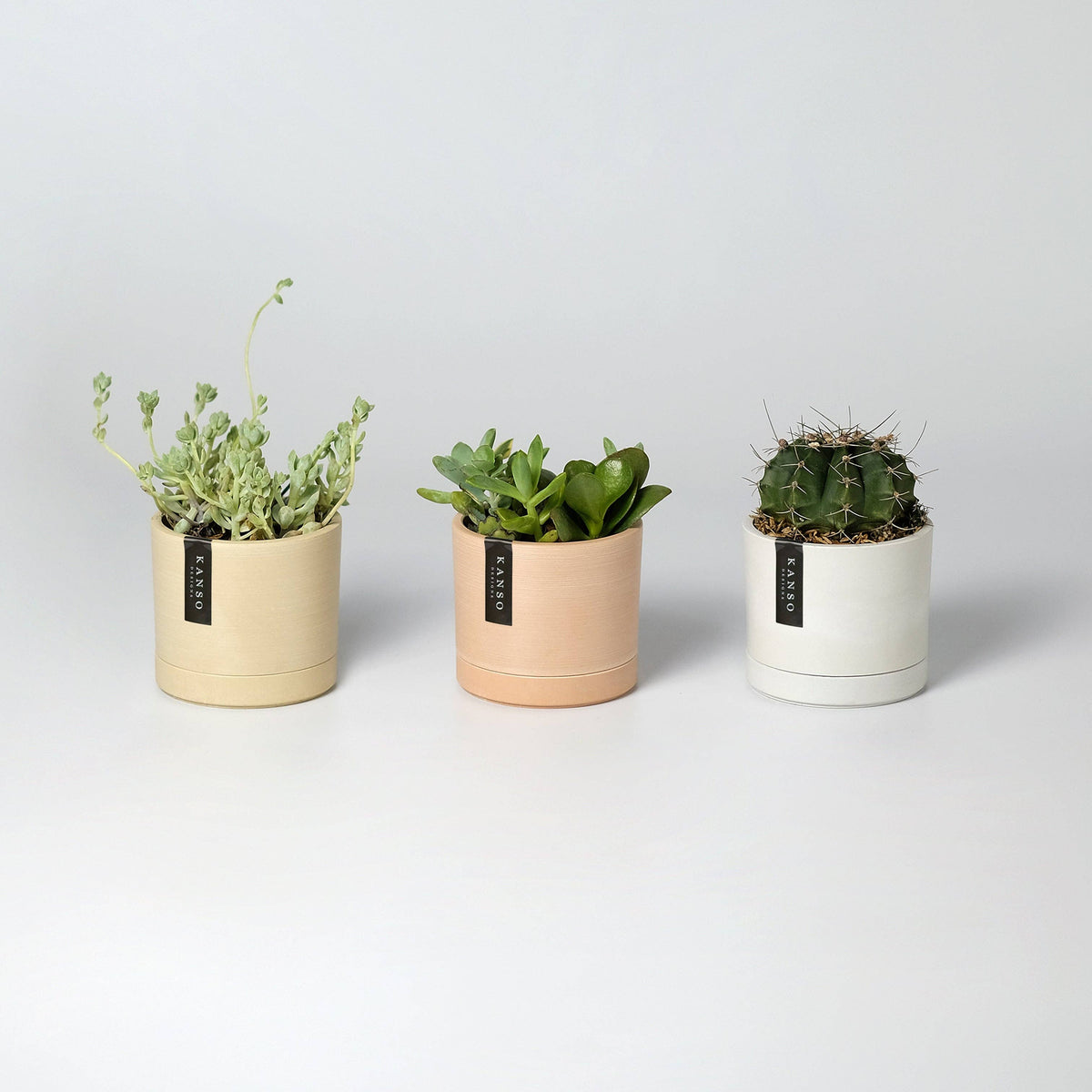 3.5" Earth Tone Mini Planters | 4 Colorways: Muted Coral