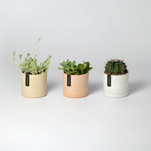 3.5" Earth Tone Mini Planters | 4 Colorways: Muted Coral