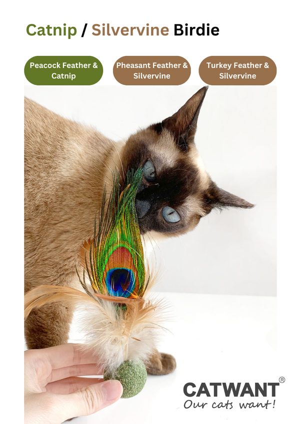 Silvervine//Catnip Birdie: Plume de dinde Silvervine