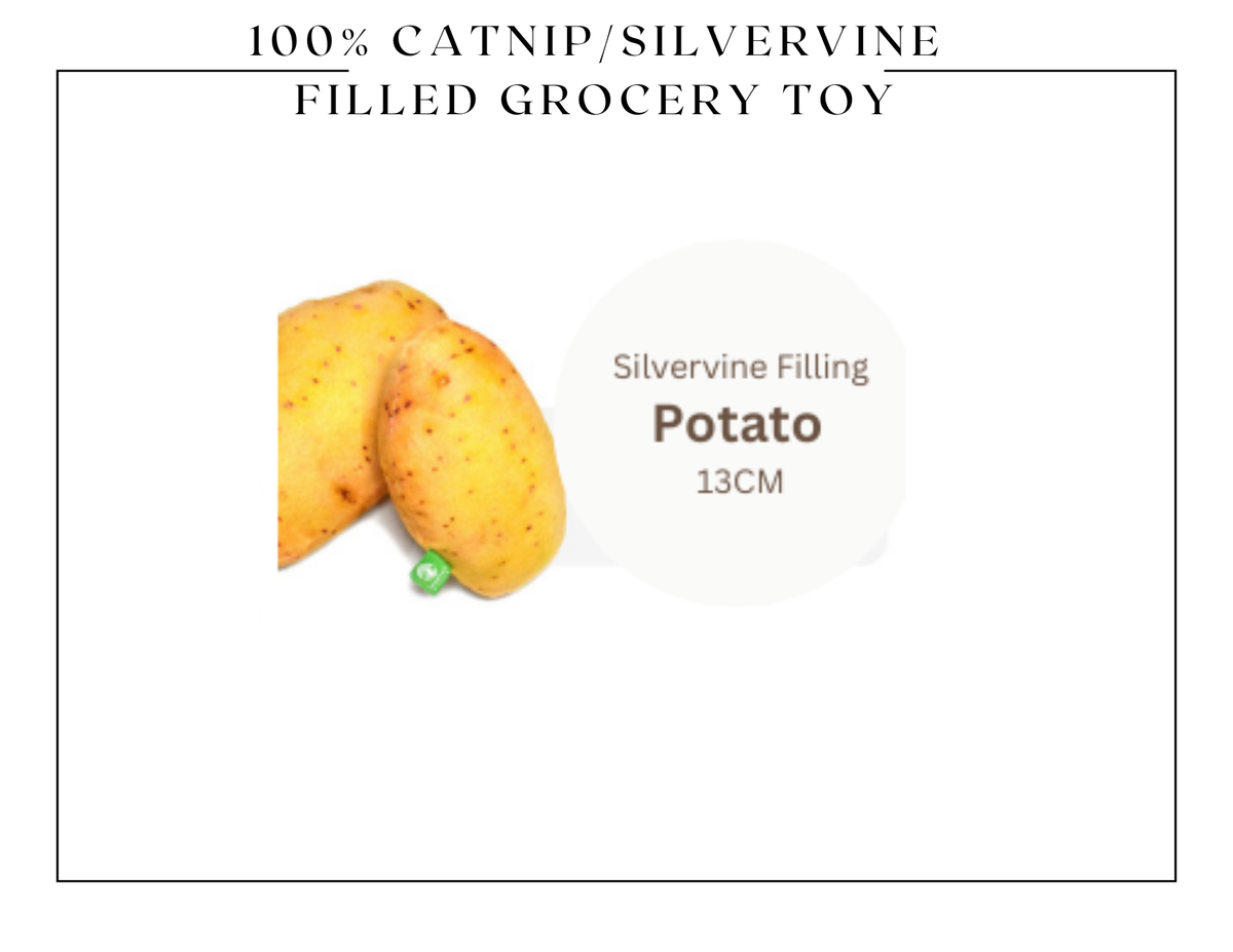 Peluche d'épicerie 100 % Silvervine et fourrée à l'herbe à chat: 100 % fourré à la vigne argentée - 
Doudou Red Chilli
21 cm