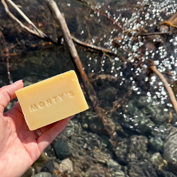 Barre de shampoing naturelle pour chiens et chats