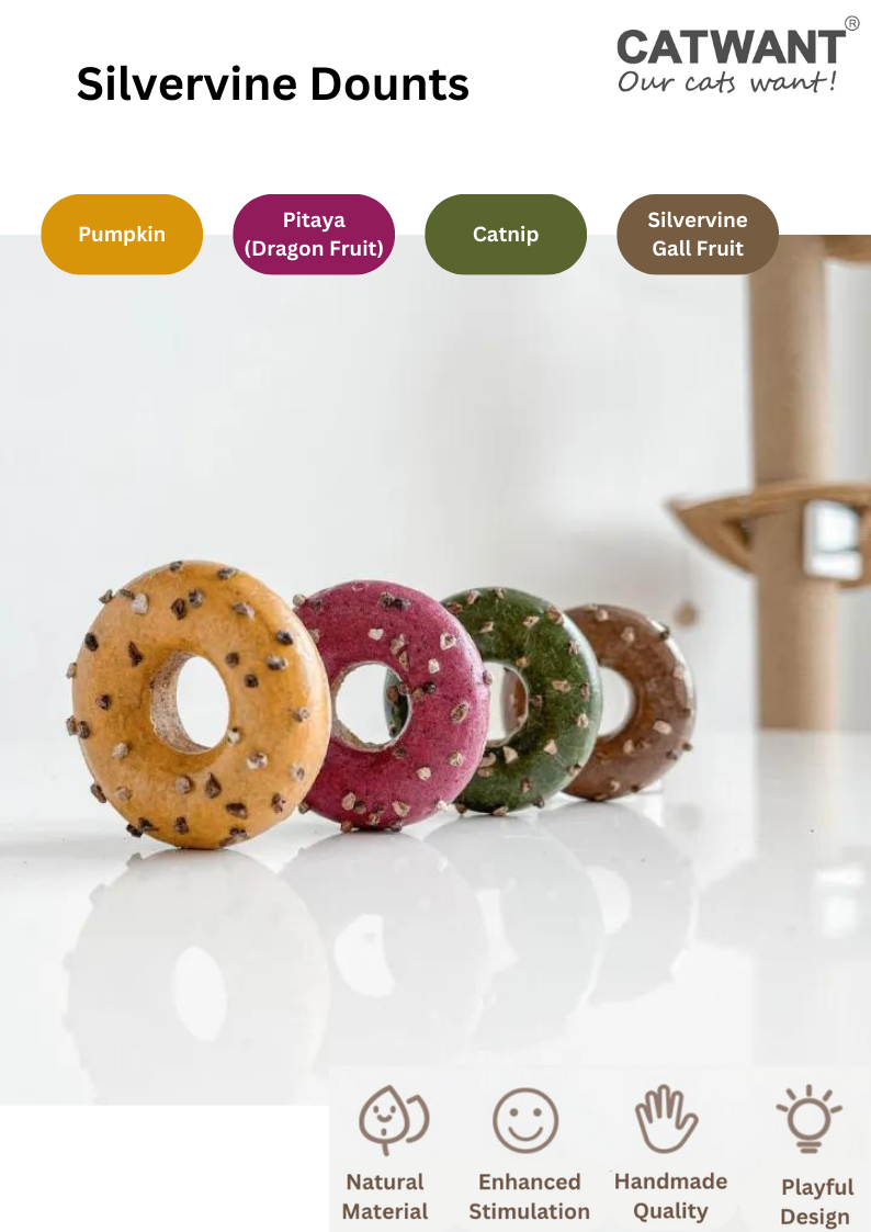 Beignet Silvervine: Pitaya (fruit du dragon)