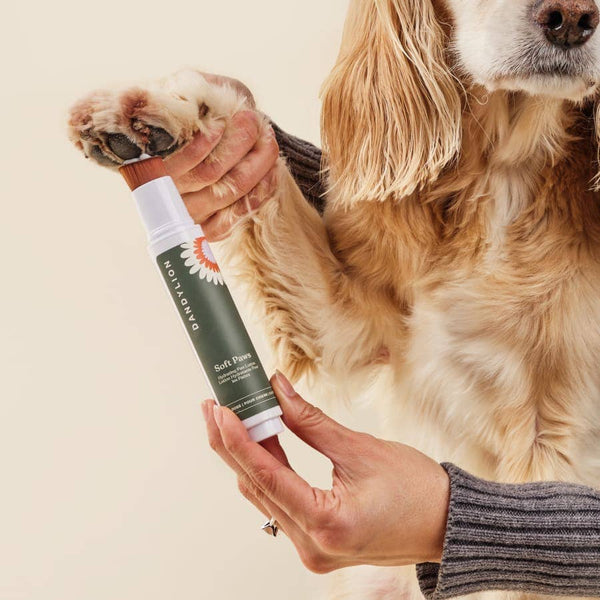 Lotion hydratante pour les pattes Soft Paws