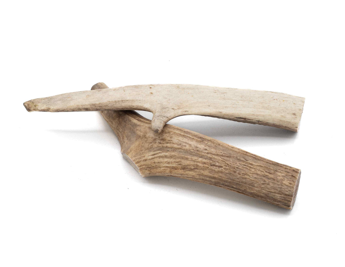 Solid Elk Antler Chew - Large