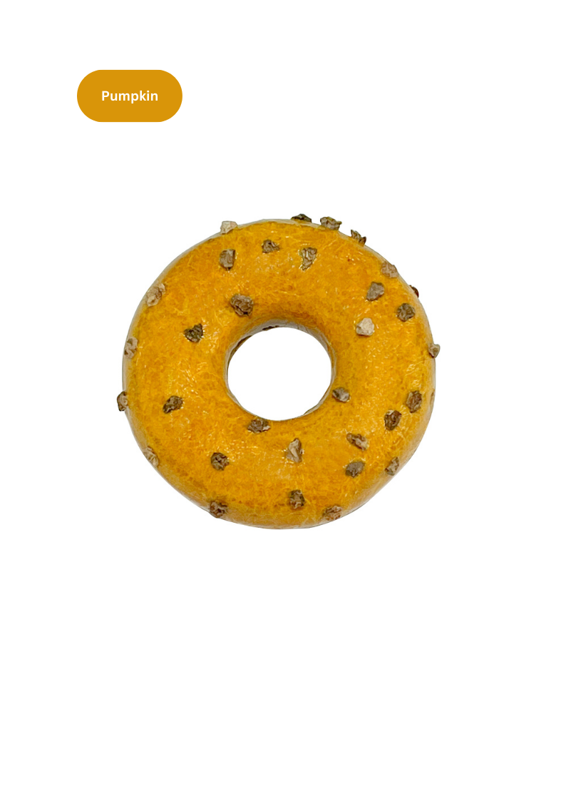 Beignet Silvervine: Citrouille