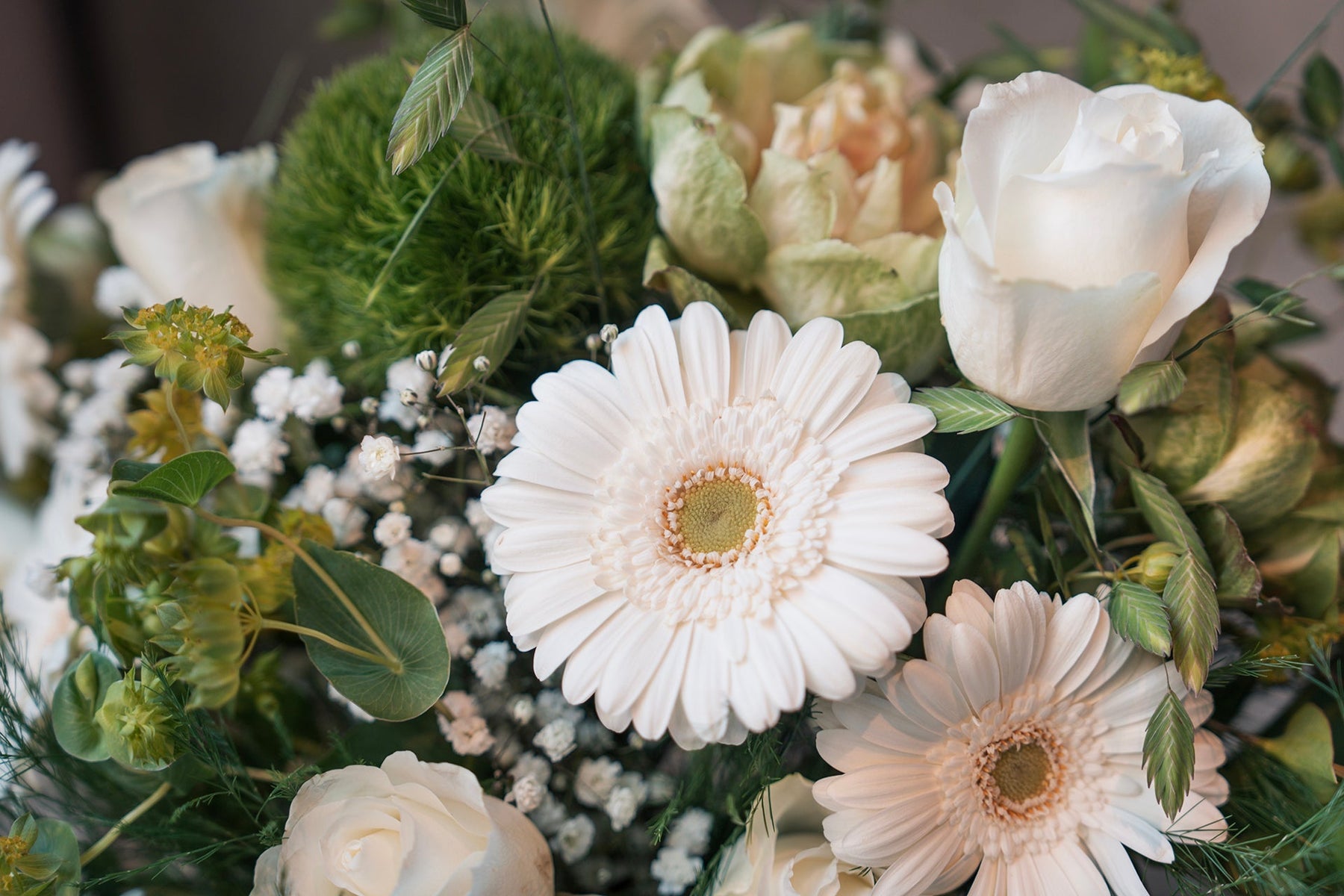 Sympathy Flowers: What to Send and When (Montréal Guide)