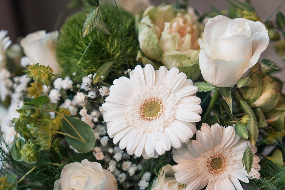 Sympathy Flowers: What to Send and When (Montréal Guide)