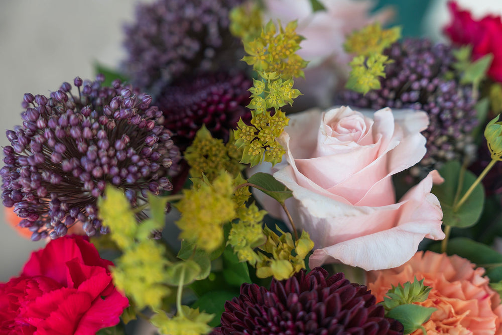 Last-Minute Gift Ideas in Montréal (That Still Feel Thoughtful)