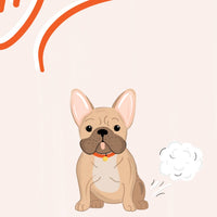 Pardon My French Bulldog Card