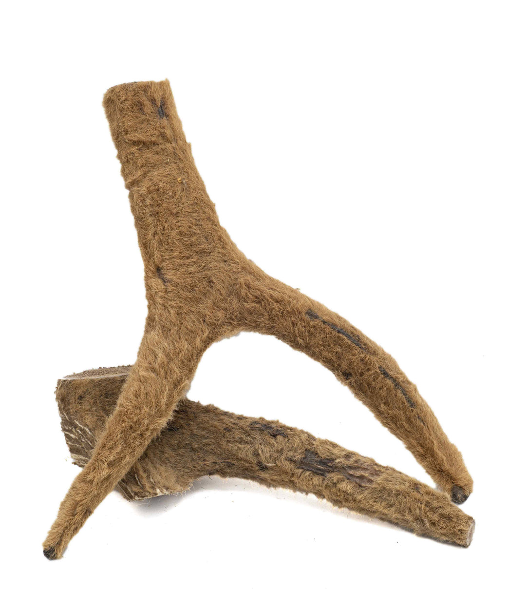 Solid Elk Antler Chew (Velvet) - X-Large