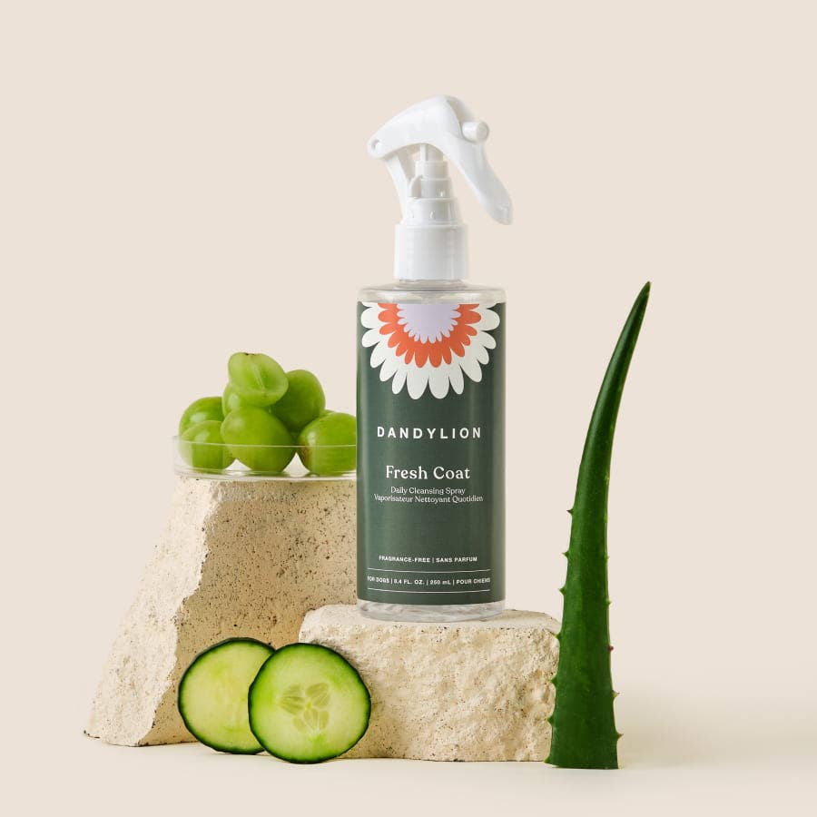 Spray nettoyant quotidien Fresh Coat | Shampooing sans rinçage sans eau