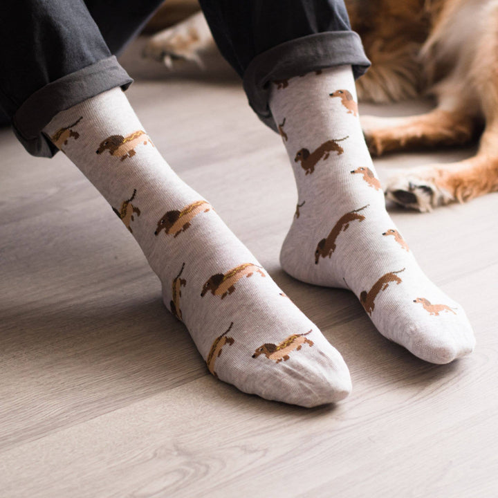 Men's Socks | Hot Dog Wiener Dog | Mismatched Socks: Men's 7 - 12