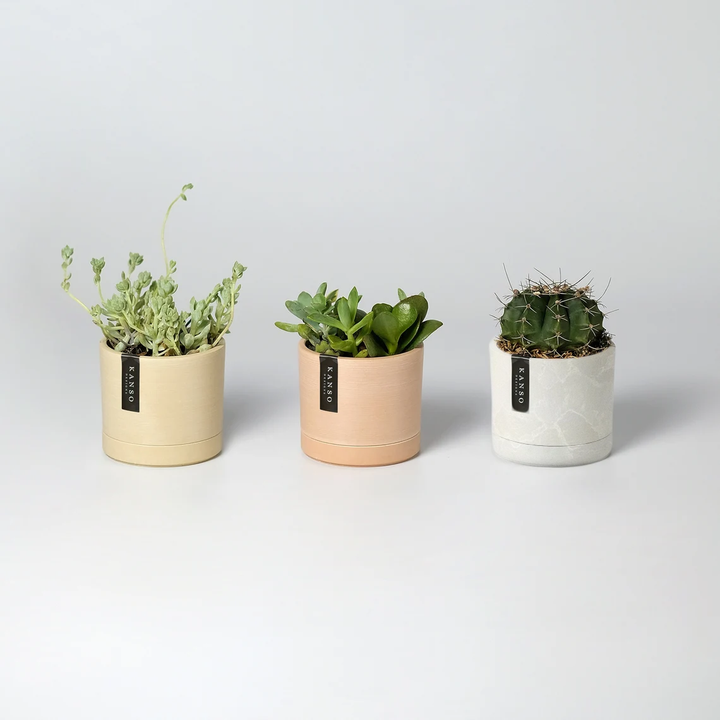 3.5" Earth Tone Mini Planters | Kanso
