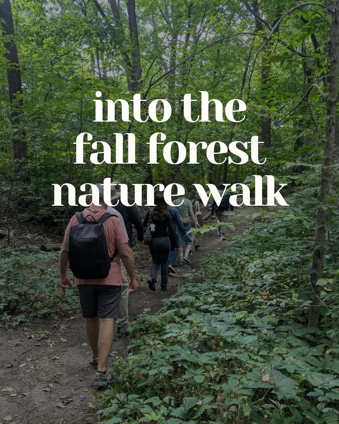 Dans la Forêt d'Automne (Visite Guidée)
