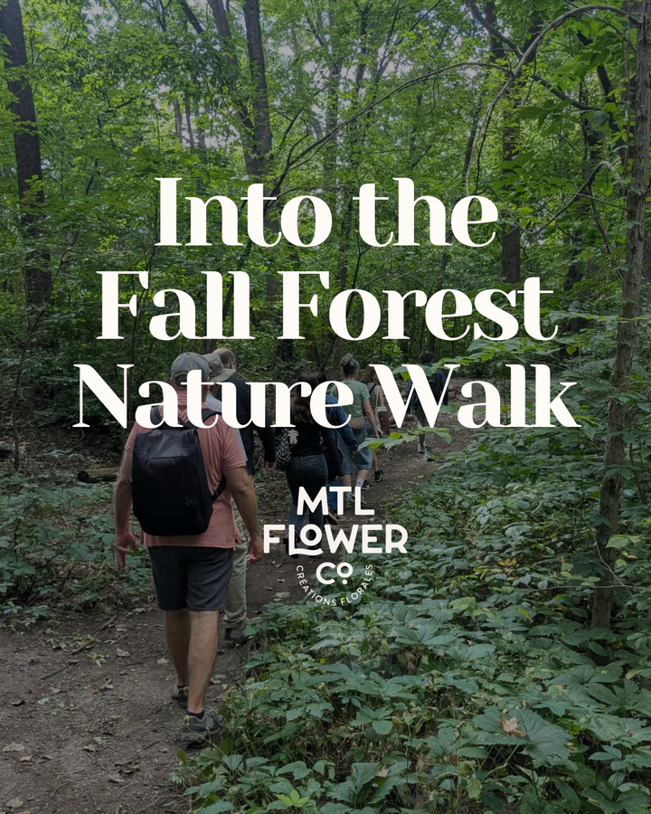 Dans la Forêt d'Automne (Visite Guidée)