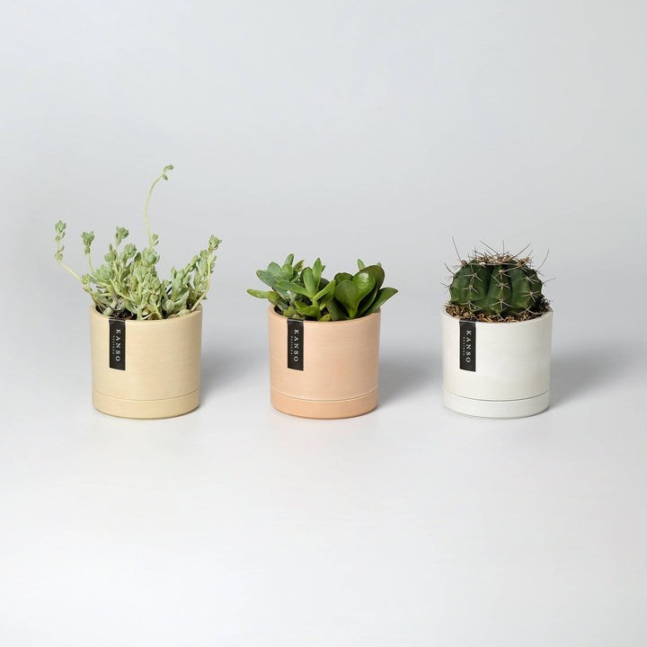 3.5" Earth Tone Mini Planters | 4 Colorways: Tatami
