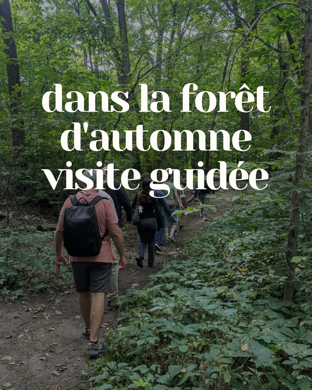 Dans la Forêt d'Automne (Visite Guidée)