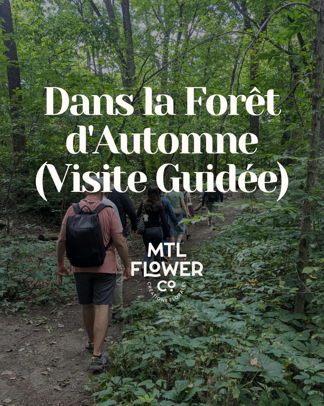 Dans la Forêt d'Automne (Visite Guidée)