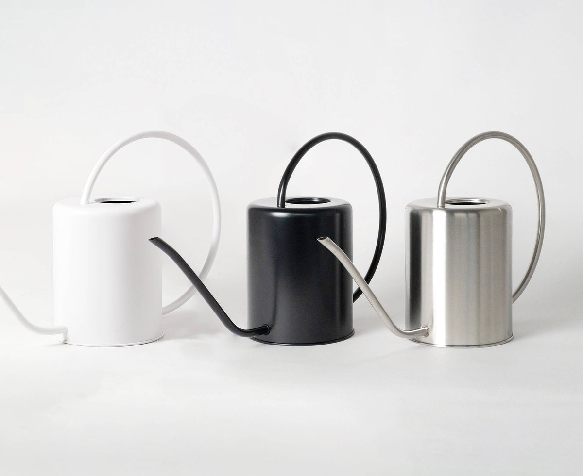 2L Stainless Steel Watering Can: Silver