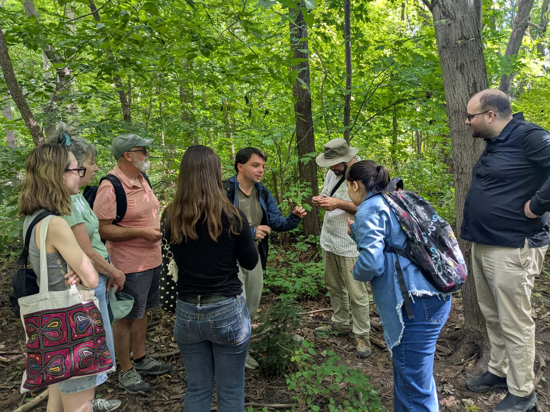 A group of seven people standing in a dense green forest, listening to a man who appears to be giving an outdoor tour or lecture.