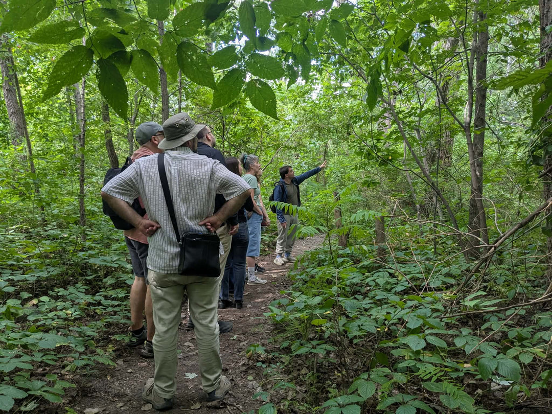 A group of people standing on a forest trail, with one person pointing toward something in the woods. The scene is dense with green trees and foliage.
