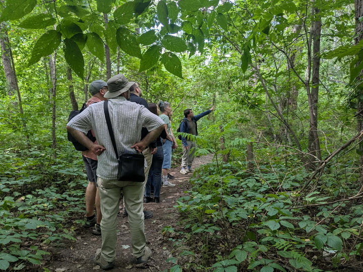 A group of people standing on a forest trail, with one person pointing toward something in the woods. The scene is dense with green trees and foliage.