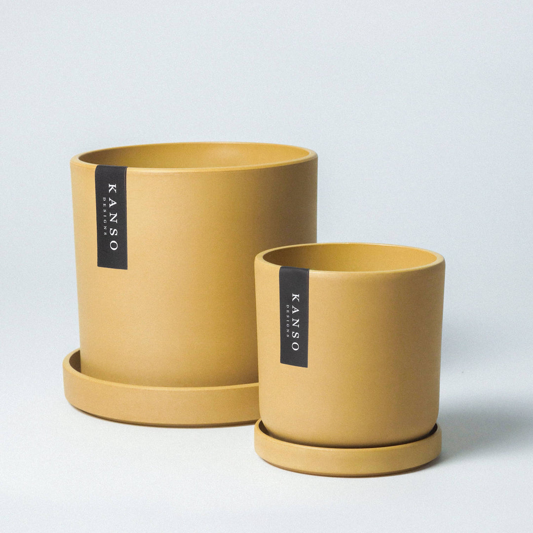 7" & 4" Mustard Seed & Dusted Clay Planters & Saucers : Dusted Clay / 4" Only