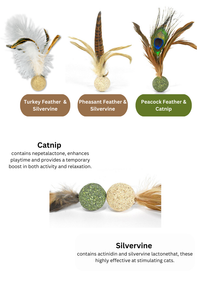 Silvervine//Catnip Birdie: Plume de faisan argenté