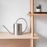 2L Stainless Steel Watering Can: Silver