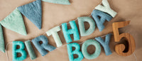 Birthday girl Felt Letter Garland - Regular Letter Size: Birthday Girl / 1 pack