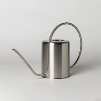 2L Stainless Steel Watering Can: Silver