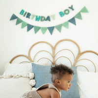 Birthday girl Felt Letter Garland - Regular Letter Size: Birthday Boy / 1 pack