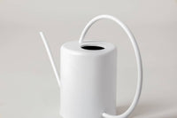 2L Stainless Steel Watering Can: Silver