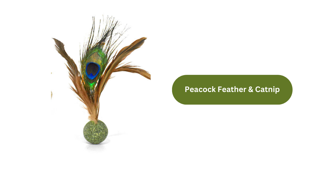 Silvervine//Catnip Birdie: Plume de dinde Silvervine