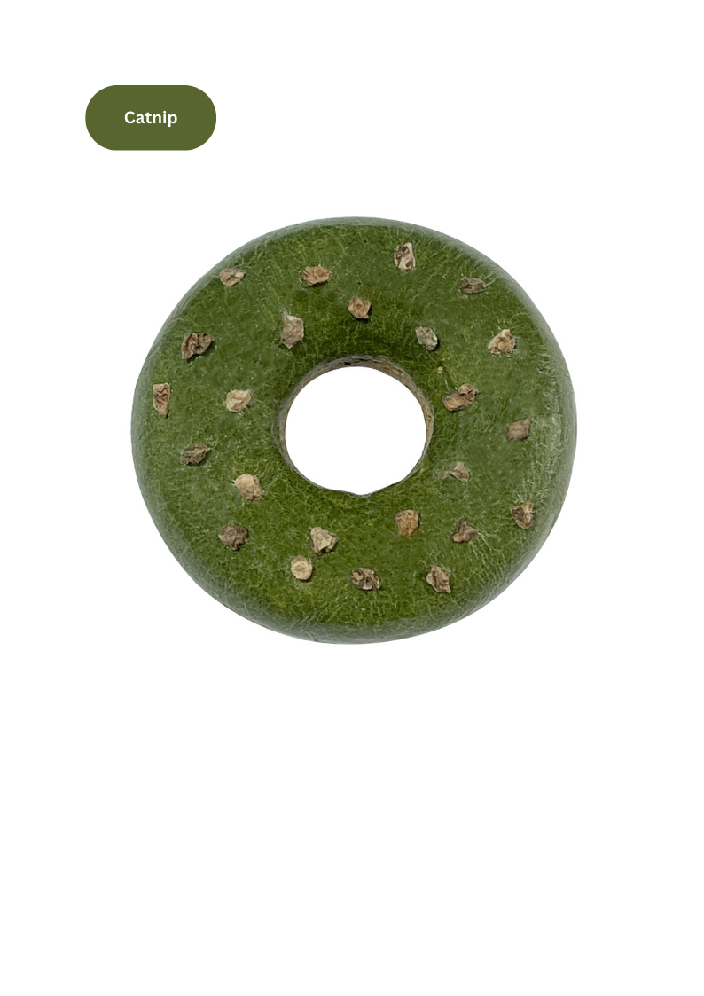 Beignet Silvervine: Citrouille