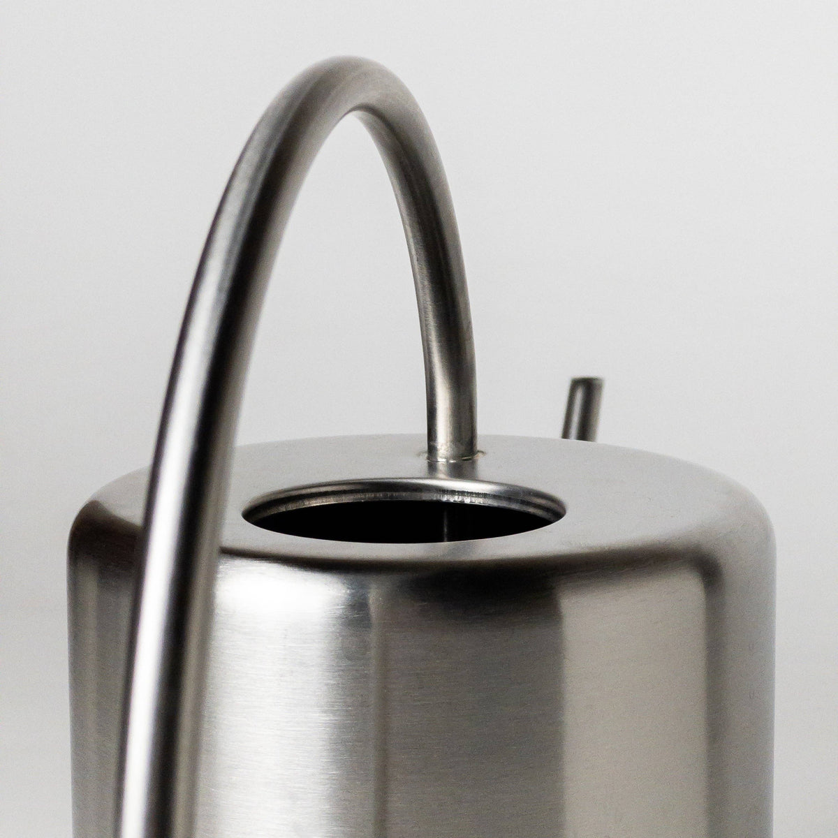 2L Stainless Steel Watering Can: Silver