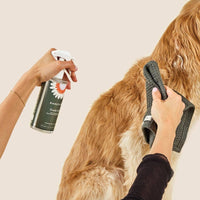 Spray nettoyant quotidien Fresh Coat | Shampooing sans rinçage sans eau