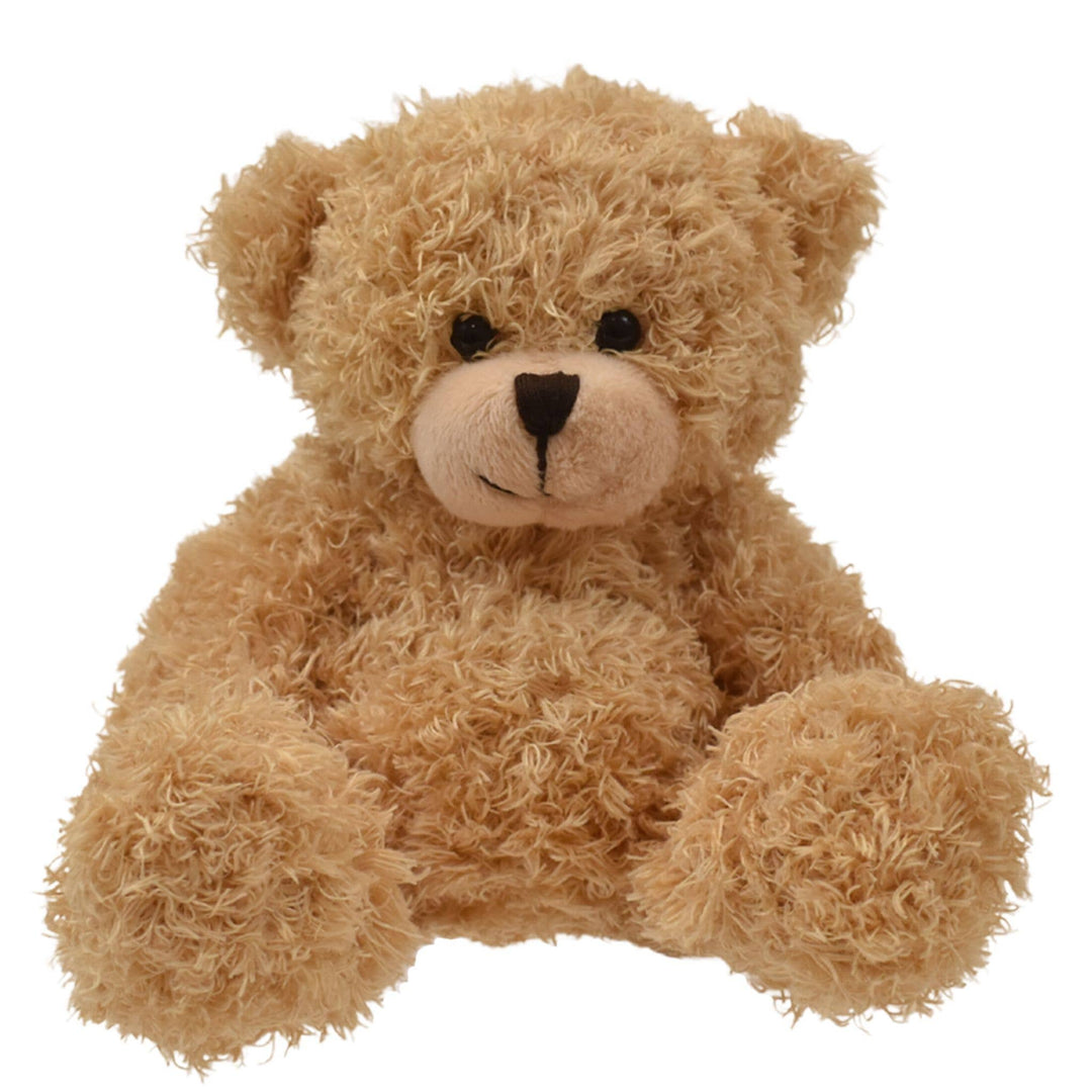 Beige teddy bear on a white background