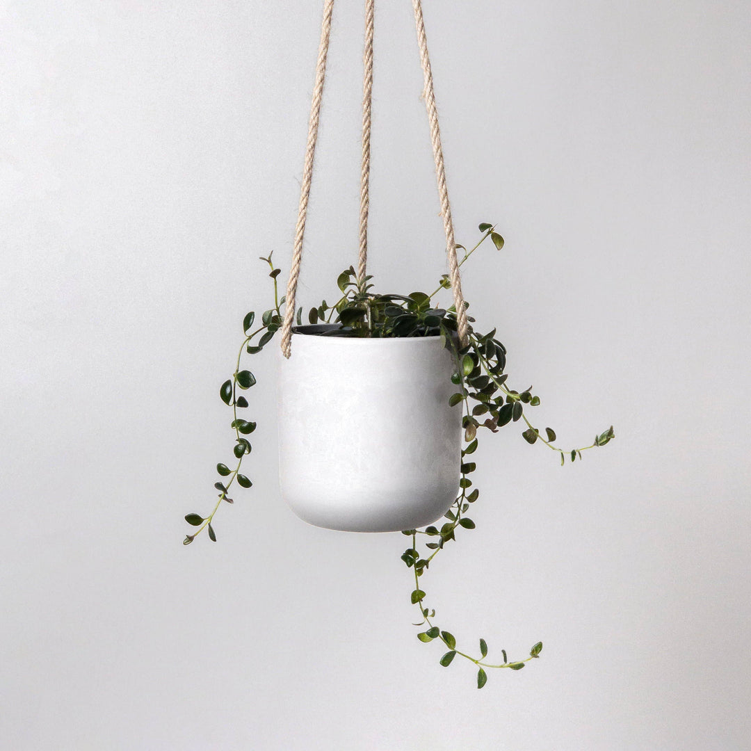 4" Signature Stone Hanging Planter Pot: Muted Coral