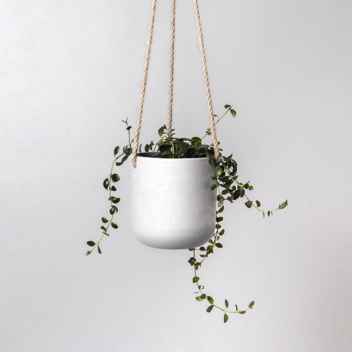 4" Signature Stone Hanging Planter Pot: Muted Coral