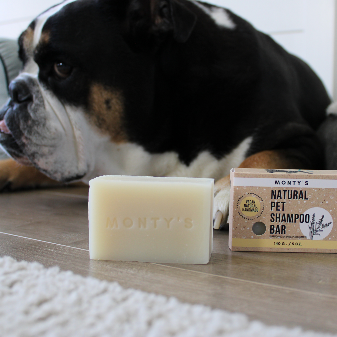 Barre de shampoing naturelle pour chiens et chats