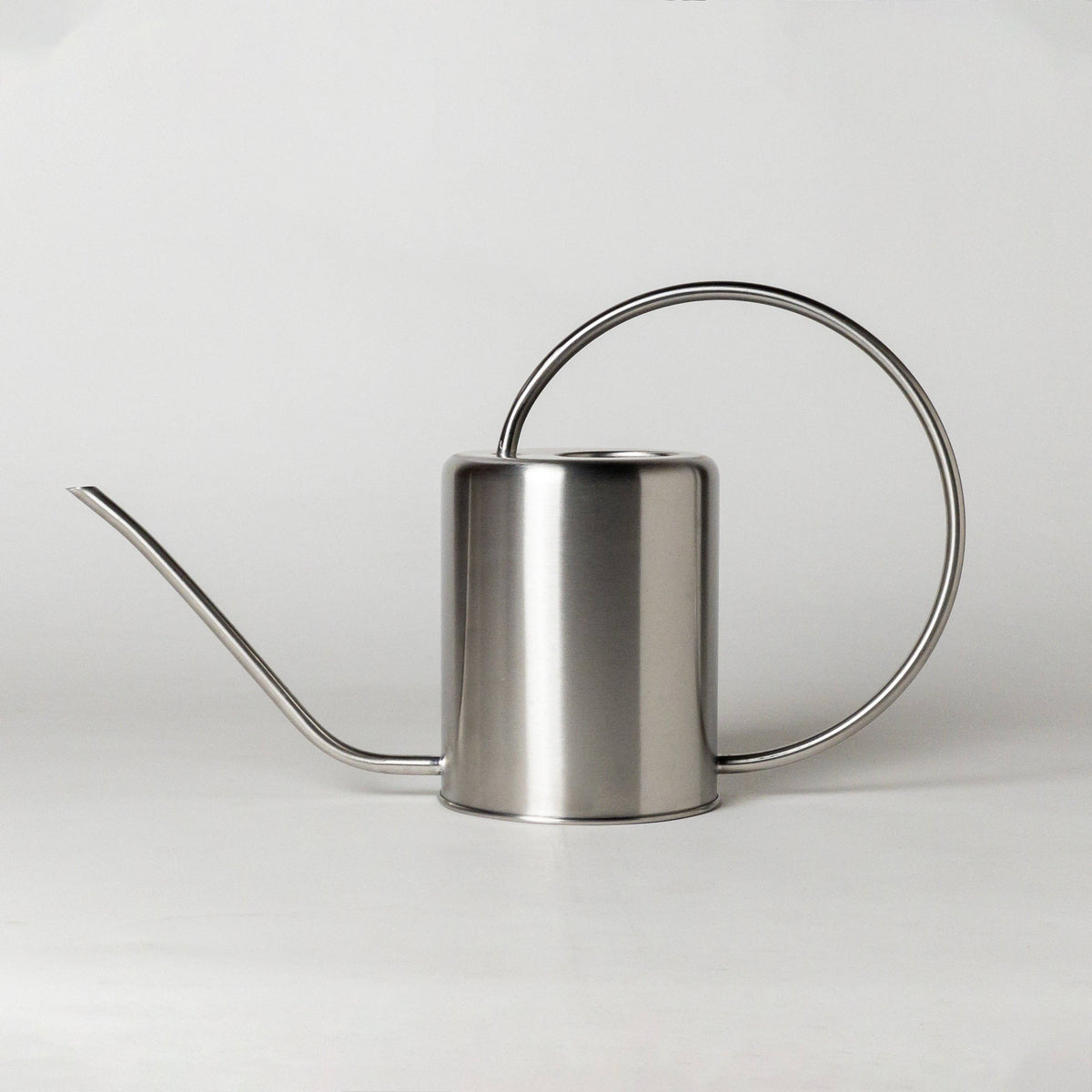 2L Stainless Steel Watering Can: Silver