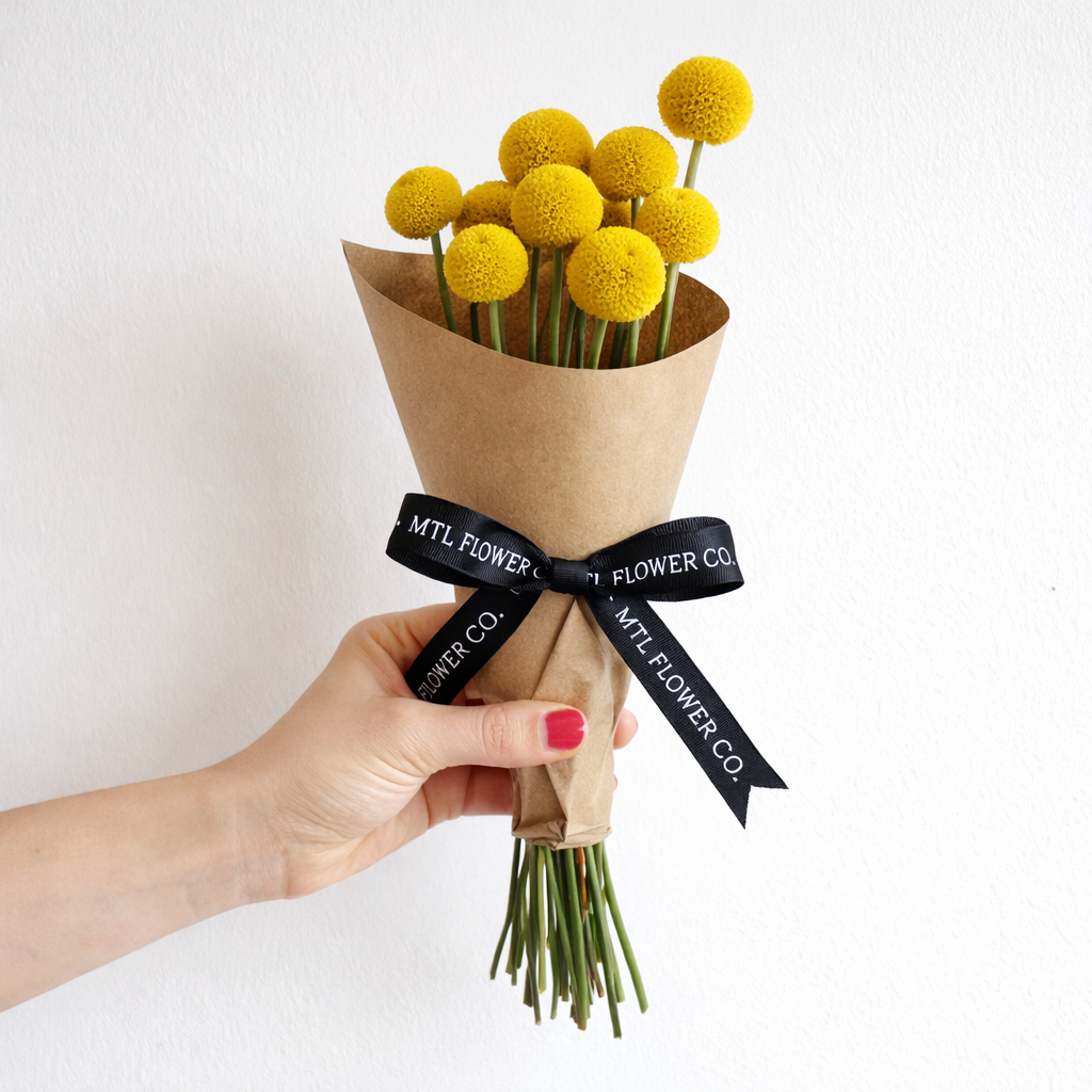 Craspedia (billy balls) dried flower bunch