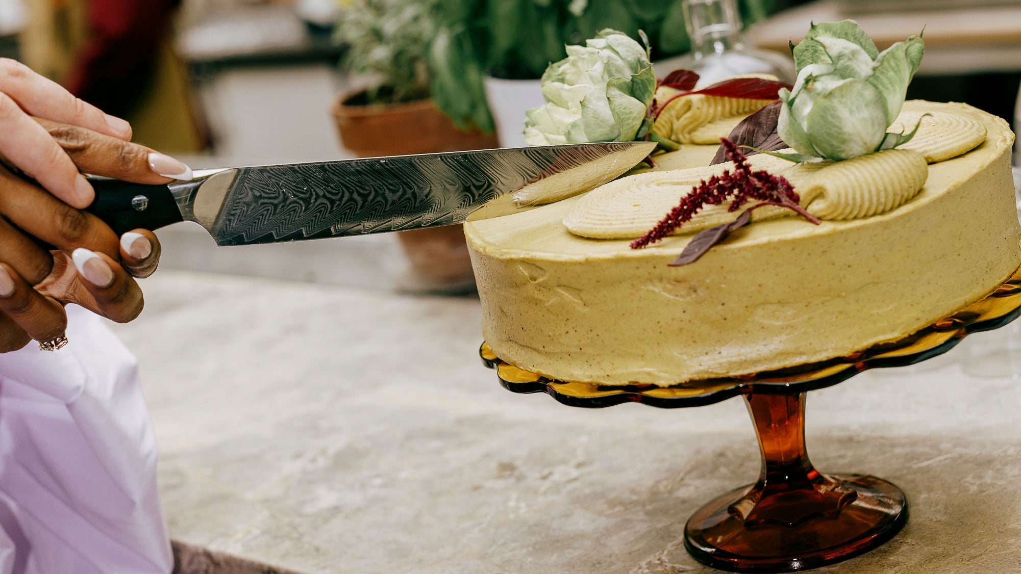 Person cutting a cake on a marble counter with plants and bottles in the background