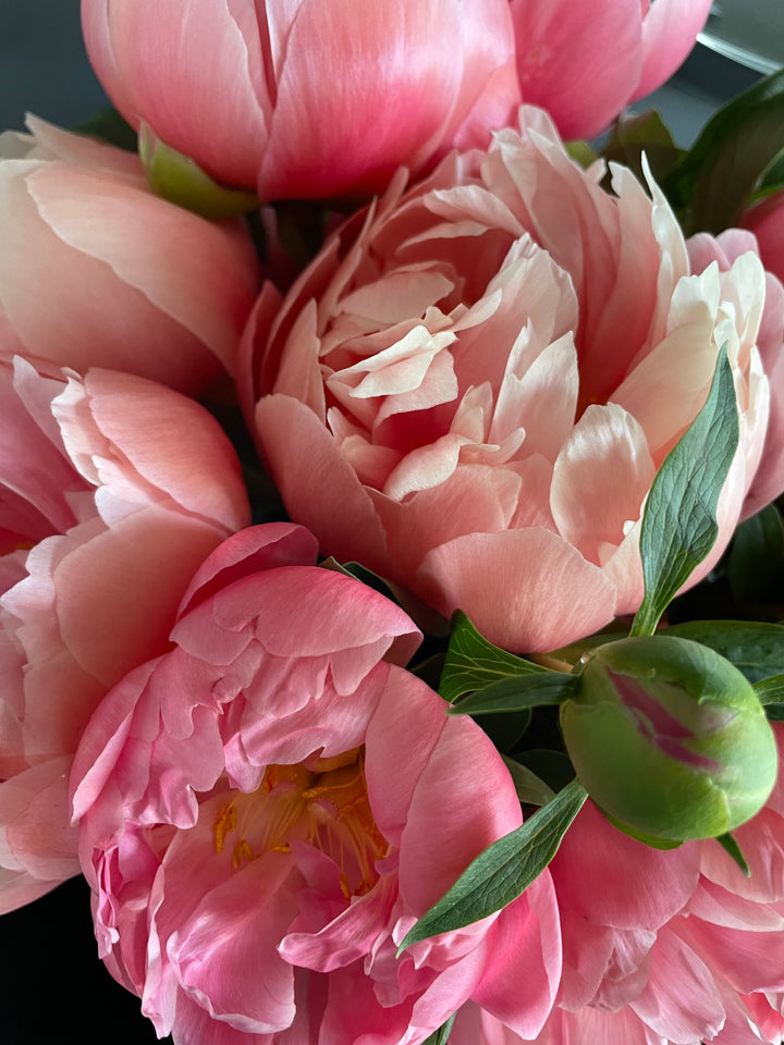 Fresh Peony Bouquet