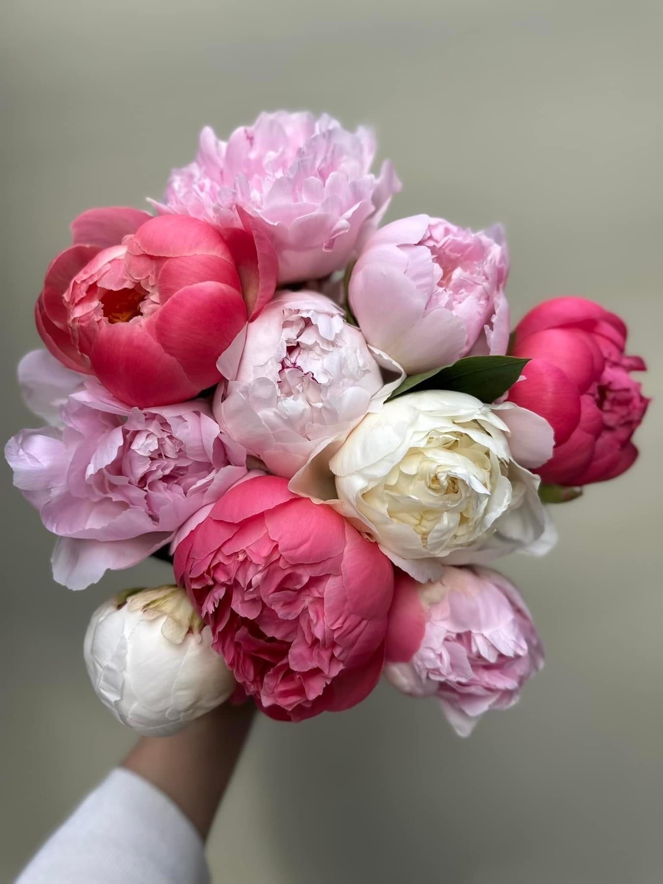 Bunch store of peonies