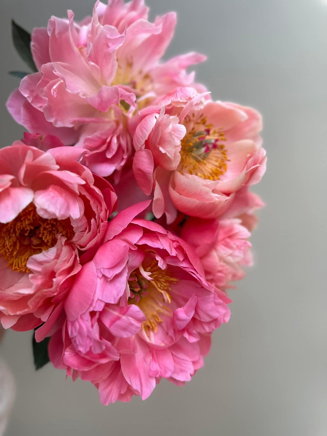 Fresh Peony Bouquet