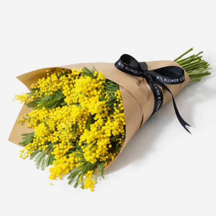 Fresh Bunch of Mimosa · International Women’s Day
