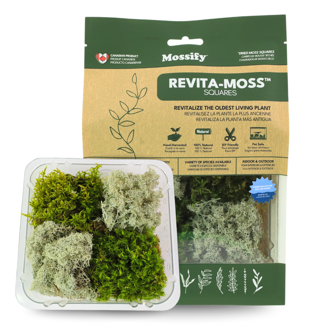 Mossify - Revita-Moss Mixed Pack